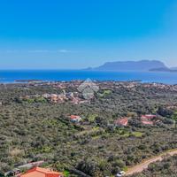 TER. AGRICOLO A OLBIA