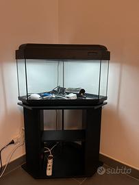 Acquario angolare 80 litri
