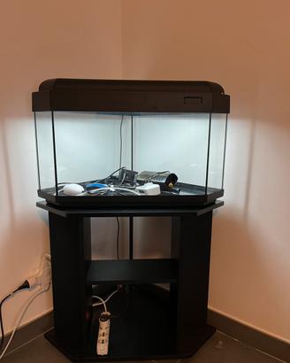 Acquario angolare 80 litri