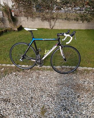 bici da corsa focus izalco