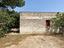 Immagine 6