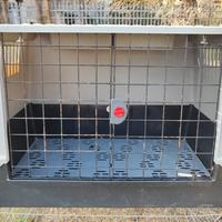 Kennel trasportino per cani