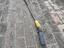 Immagine 3