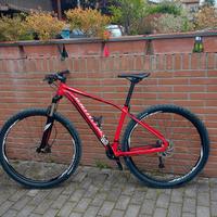 MTB Specialized 29 