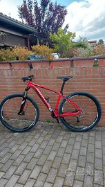 MTB Specialized 29 