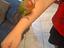 Immagine 1