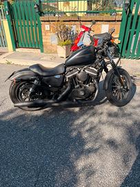 Harley davidson 883 iron