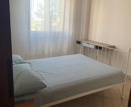 Disponibilità di 3 camere