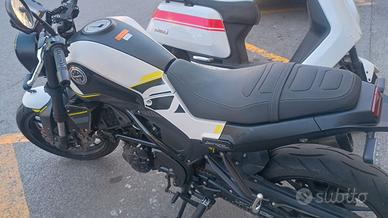 BENELLI LEONCINO 250 - 2024