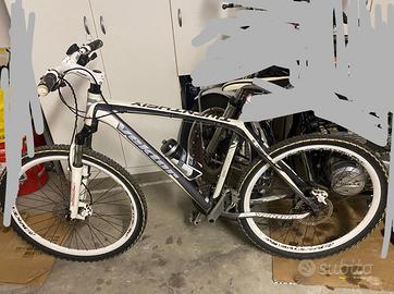 Mtb e bici da passeggio