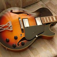 Chitarra ibanez