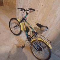 bicicletta mountain bike per ragazzini 