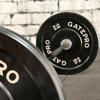 disco bumper GATEPRO 10kg promozione -40%