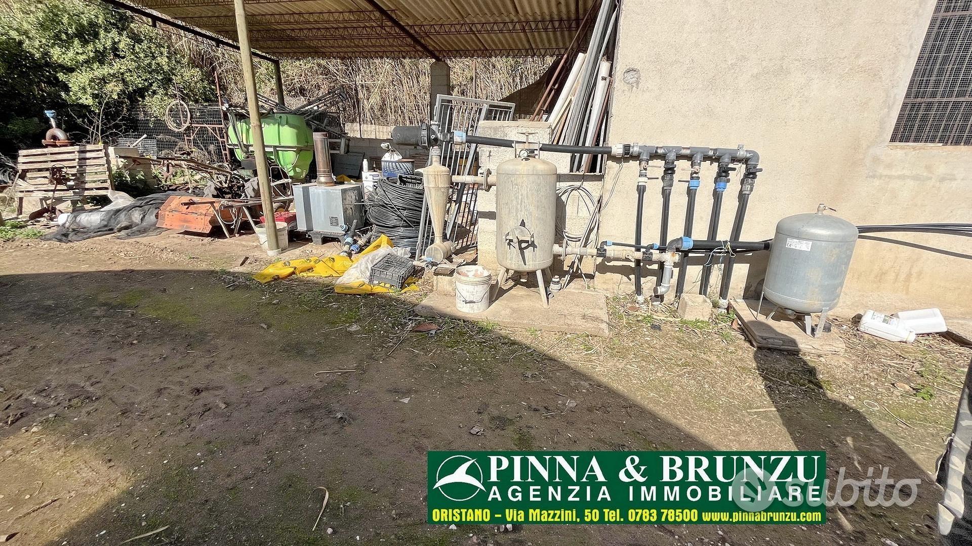 Siamaggiore - Azienda serricola - Altro