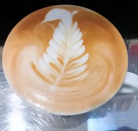 Barista