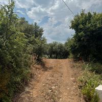 Terreno con lotti edificabili