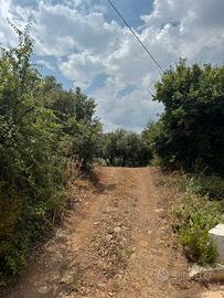 Terreno con lotti edificabili da Lottizzare