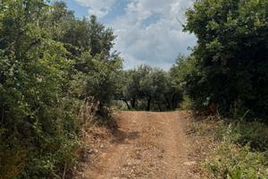 Terreno con lotti edificabili da Lottizzare