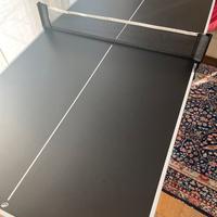 Tavolo da ping pong da interno