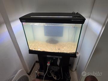 aquario 