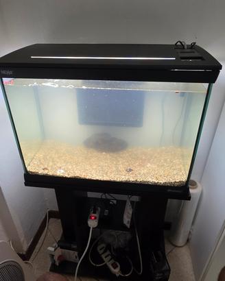 aquario 