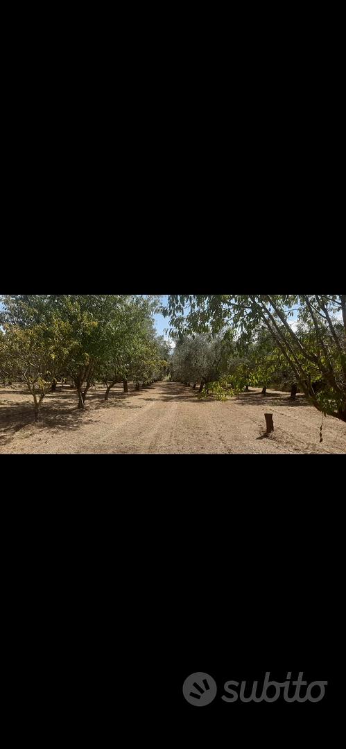terreno con rustico - Vista 2