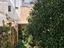 Immagine 8