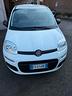 fiat-panda-1-2-easy