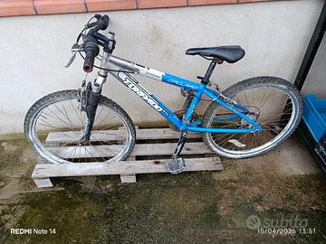 bicicletta torpado