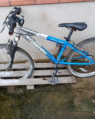 bicicletta torpado