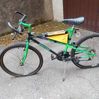 MTB Bianchi ragno Thomisus