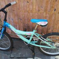 Bicicletta per bambini Mountain bike