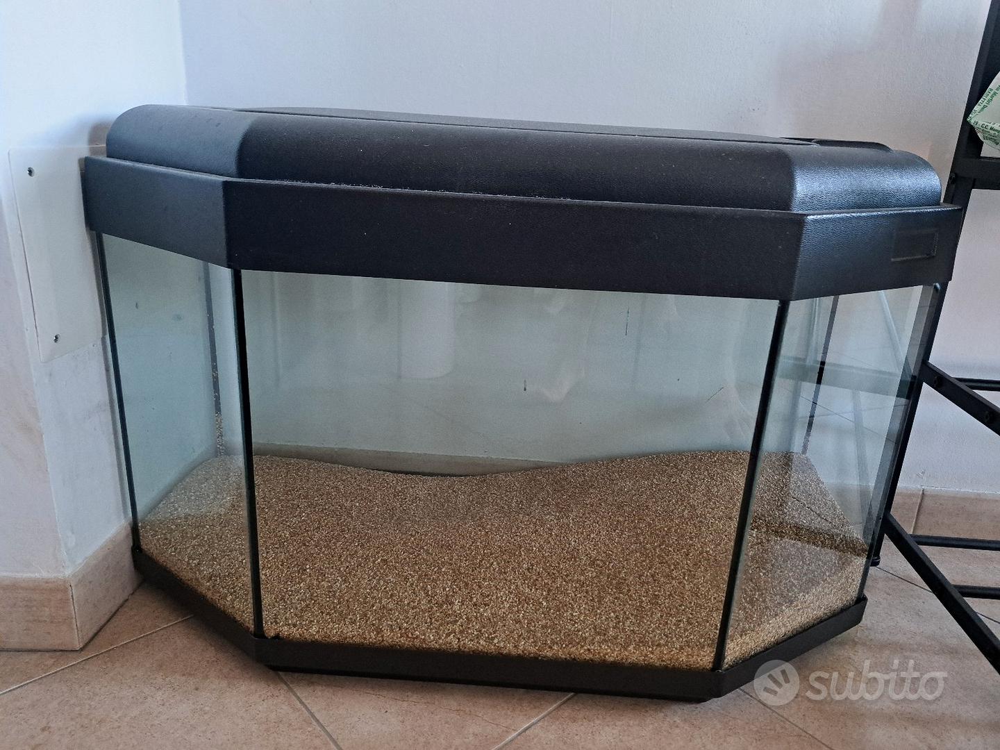 Acquario