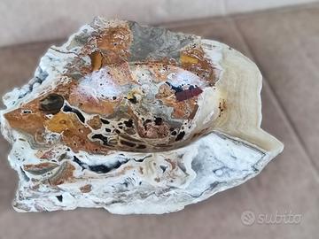 posacenere/svuota tasche in pietra