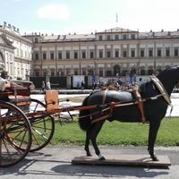 Calesse MILITARINO in legno