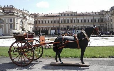 Calesse MILITARINO in legno