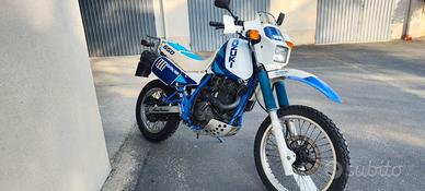 Suzuki DR650 Djebel con Cambio Rotto