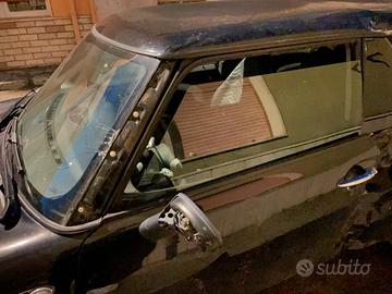 Mannchina mini incidentata