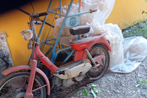 Motom dayna con libretto