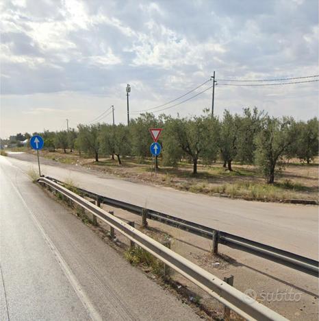 Terreno fronte strada ideale esposizione