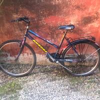 Bicicletta mountain bike Aurora