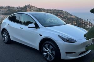Tesla Y