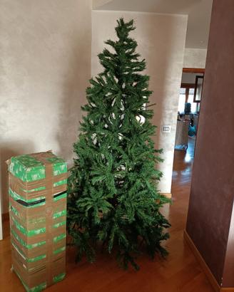 Albero di Natale