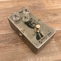 Dolphin sound nettuno overdrive