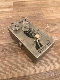 Dolphin sound nettuno overdrive