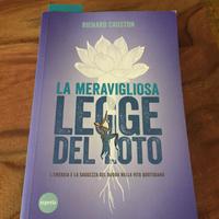 Libro buddismo La meravigliosa legge di loto
