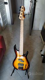 Basso 5c Markbass navigator F1