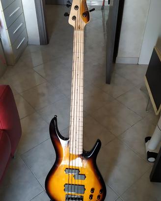 Basso 5c Markbass navigator F1