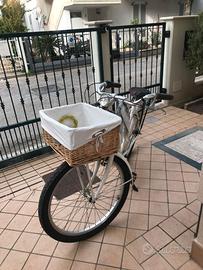 bicicletta vintage