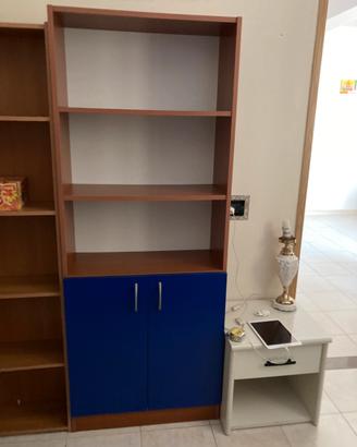 Libreria a due ante blu